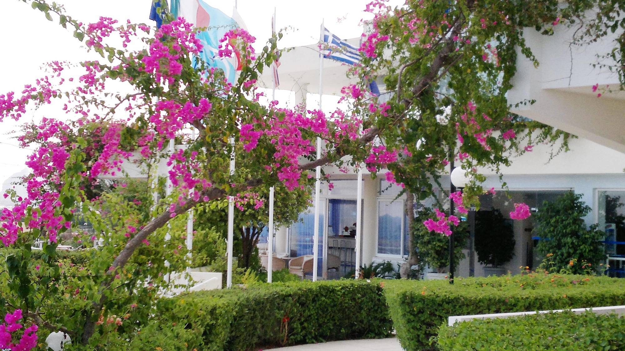 Iris Hotel 阿凡投 外观 照片